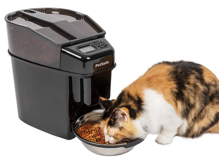 PetSafe Automatic Cat Feeder - Gift Ideas for pets
