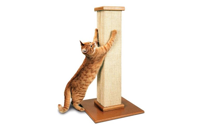Pioneer Pet SmartCat Scratching Post-Cat furniture