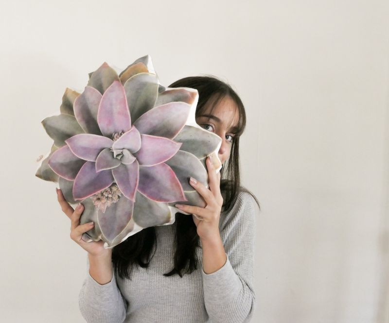 Plantillo succulent pillow