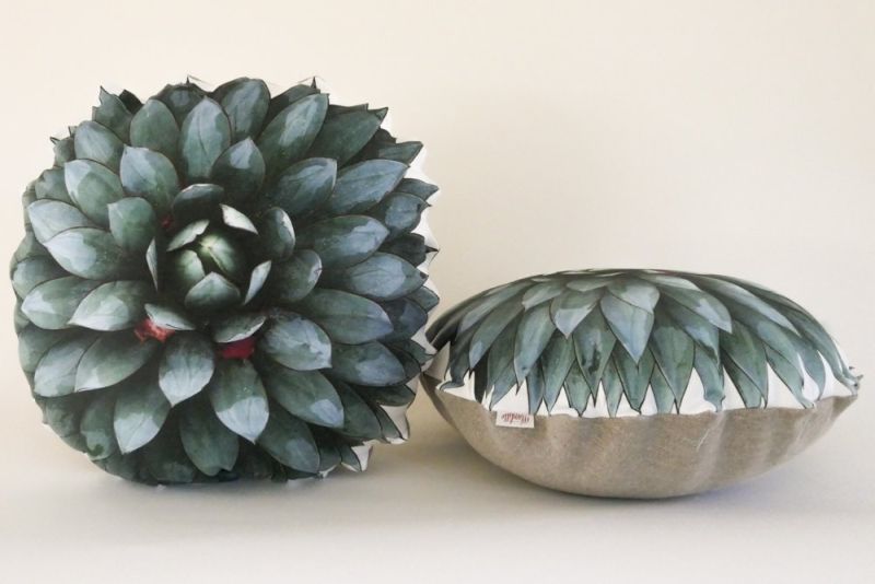 Plantillo succulent pillow