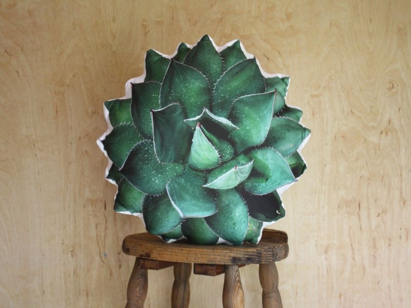 Plantillo succulent pillow