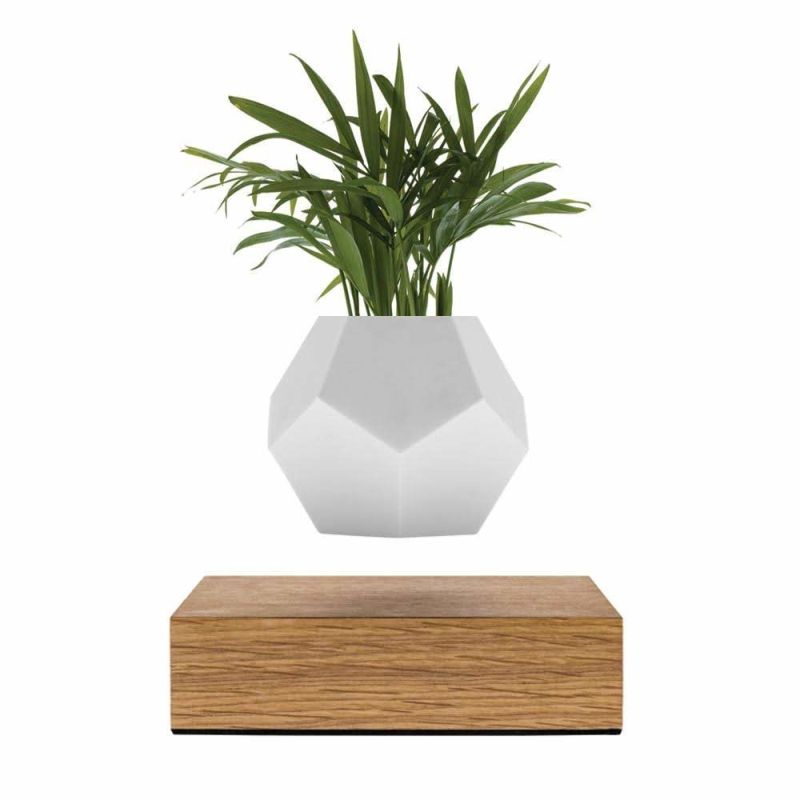 DIY Levitating Planter You’ll Want at Your Coffee Table