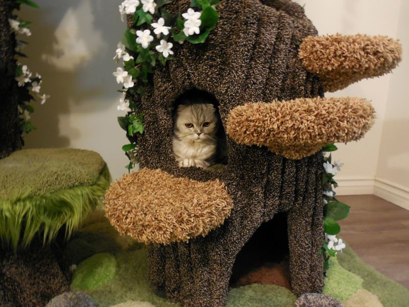 Realistic Cat Trees by Hollywood Kitty Company