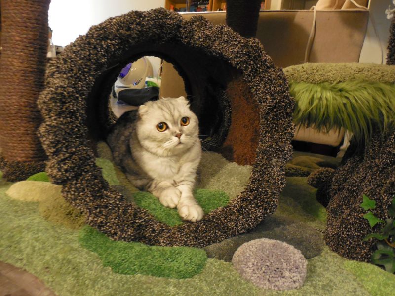 Realistic Cat Trees by Hollywood Kitty Company