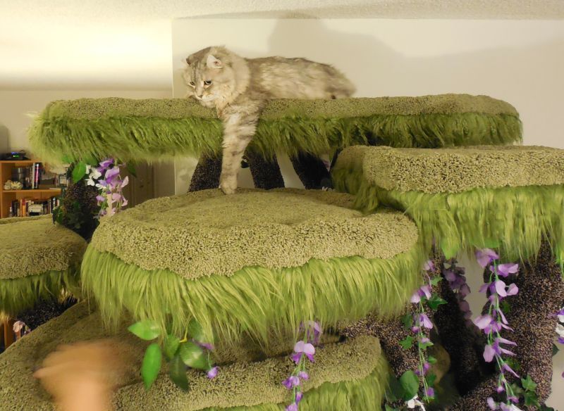 Realistic Cat Trees by Hollywood Kitty Company