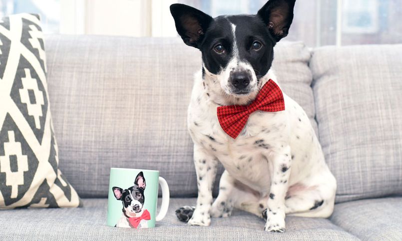 Cuddle Clones Makes Custom Stuffed Animals Looking-Like Your Pet