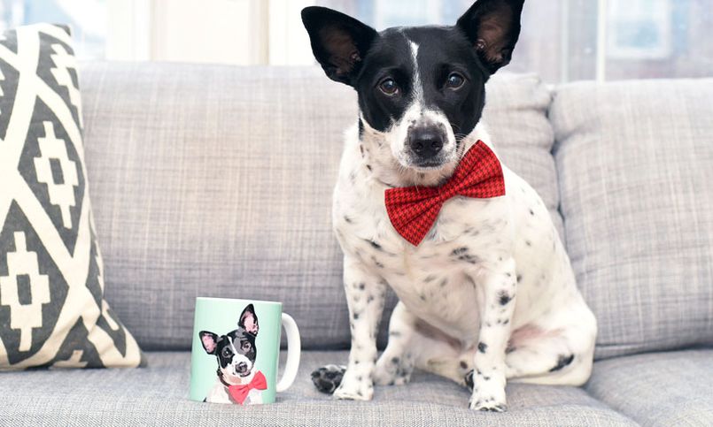 Cuddle Clones Makes Custom Stuffed Animals Looking-Like Your Pet 