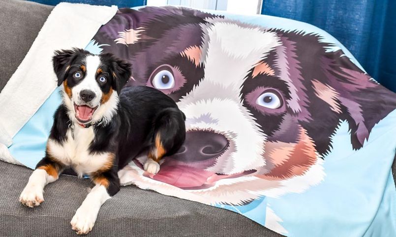 Cuddle Clones Makes Custom Stuffed Animals Looking-Like Your Pet 