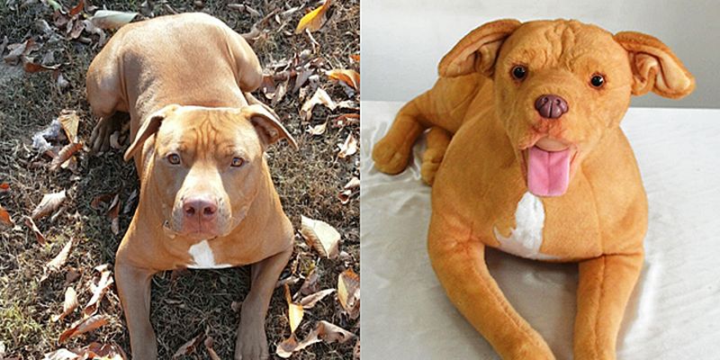 Cuddle Clones Makes Custom Stuffed Animals Looking-Like Your Pet 