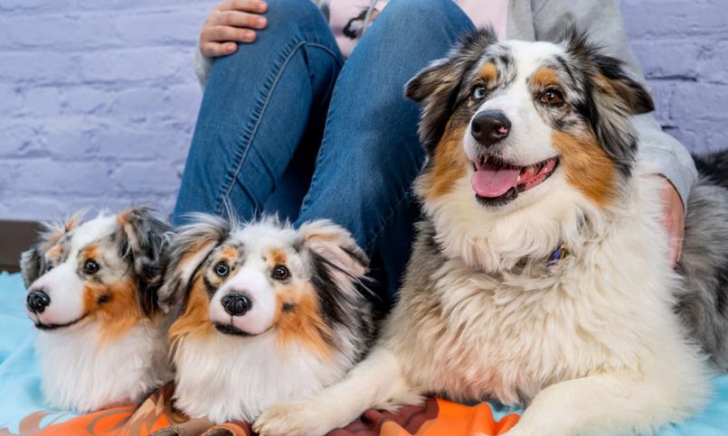 Cuddle Clones Makes Custom Stuffed Animals Looking-Like Your Pet 