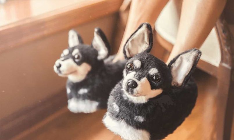 Cuddle Clones Makes Custom Stuffed Animals Looking-Like Your Pet 