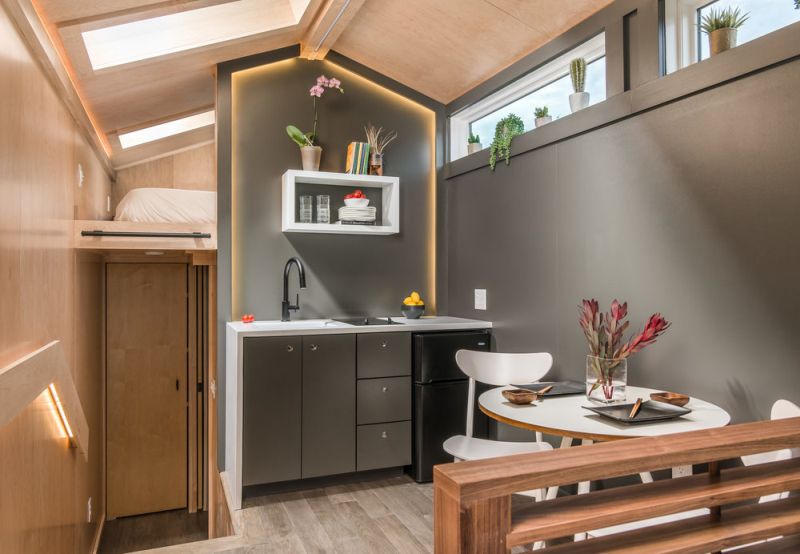 Orchid Tiny House by New Frontier Homes