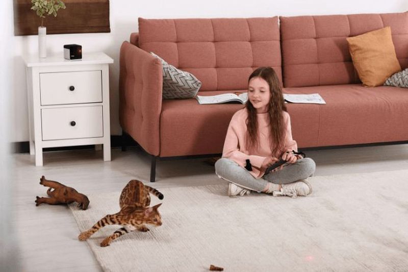 Petcube Bites 2 and Petcube Play 2 Interactive Pet Cameras with Built-in Alexa 