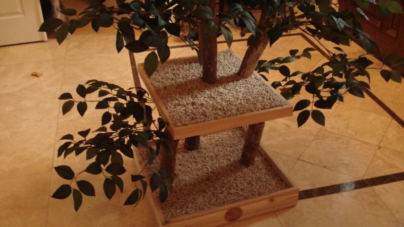 Ready-to-Assemble Real Wood Cat Tree