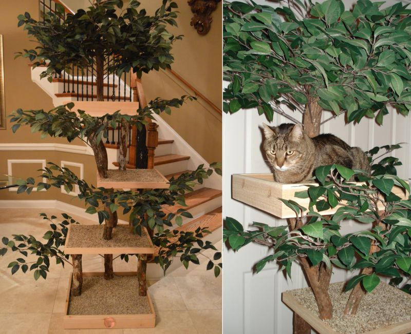 Ready-to-Assemble Real Wood DIY Cat Tree Kits 