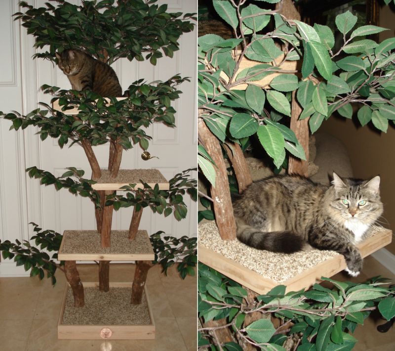 Ready-to-Assemble Real Wood DIY Cat Tree Kits 