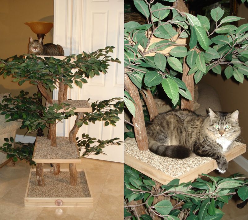 Ready-to-Assemble Real Wood Cat Tree