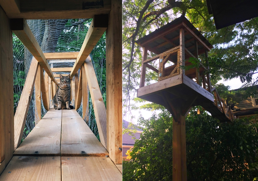 Pet Lover Builds Sprawling Outdoor Cat Tree House In His Backyard