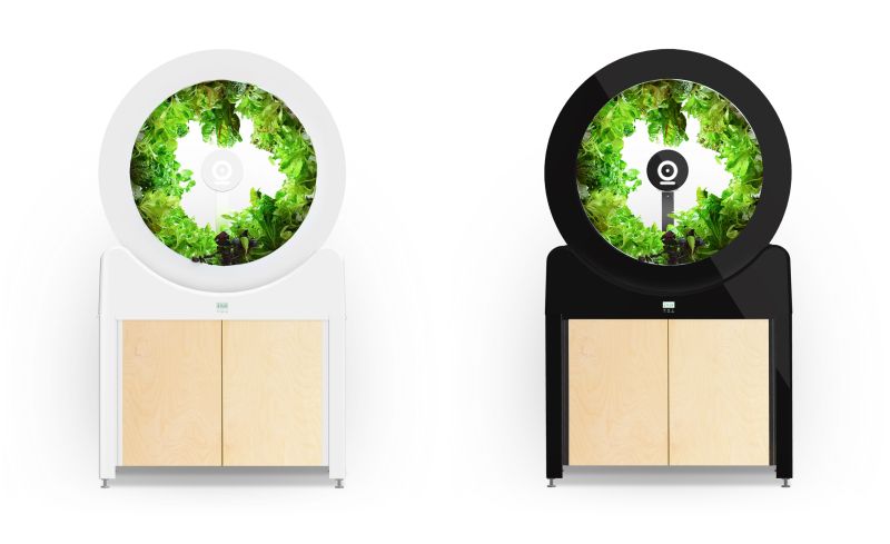 OGarden Smart Automated Indoor Gardening System for Living Room