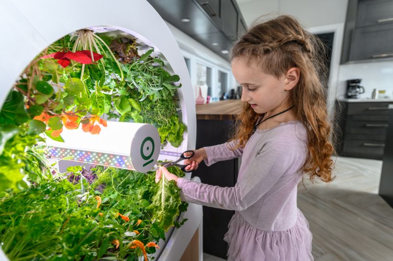 OGarden Smart Automated Indoor Gardening System for Living Room