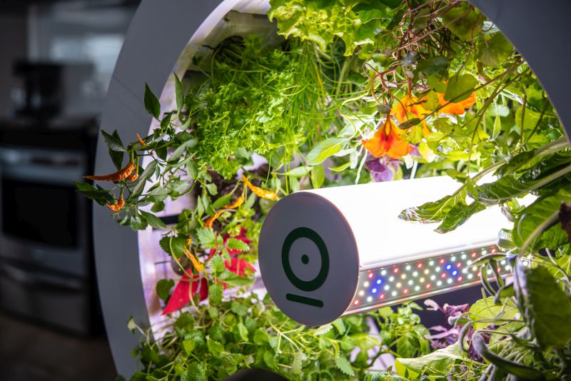 OGarden Smart Automated Indoor Gardening System for Living Room