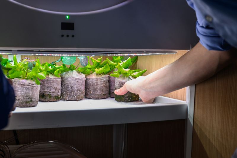 OGarden Smart Automated Indoor Gardening System for Living Room