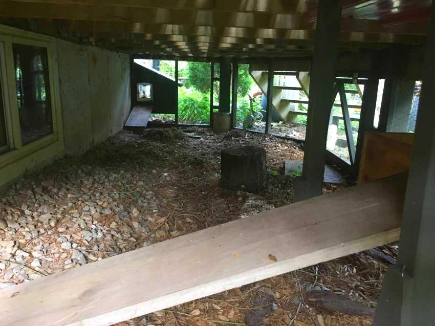 Outdoor Cat Treehouse - DIY