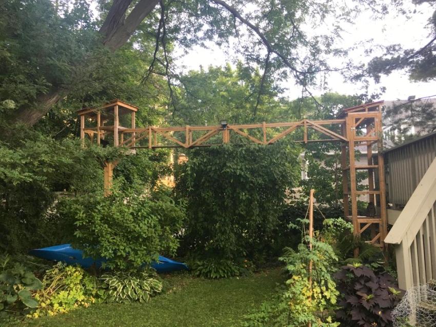 Outdoor Cat Treehouse - DIY