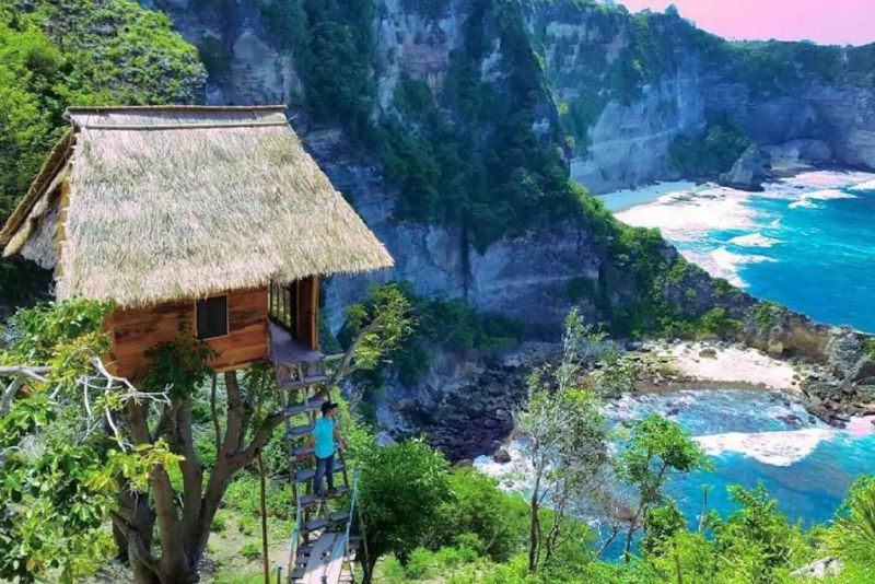 You'll Love to be Clicked at Rumah Pohon Treehouse Rental in Bali