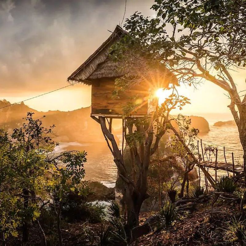 You'll Love to be Clicked at Rumah Pohon Treehouse Rental in Bali