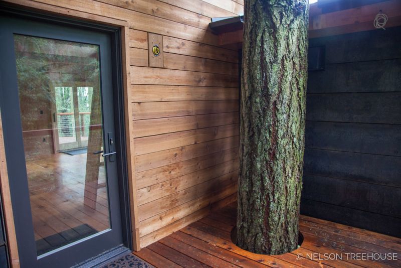 treehouse in San Juan Islands 