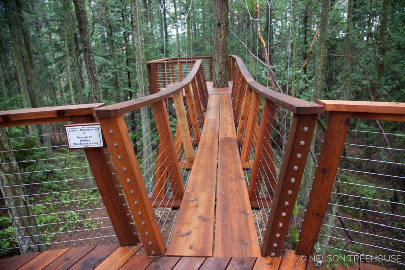 treehouse in San Juan Islands 