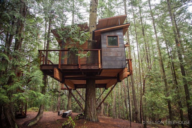 treehouse in San Juan Islands 