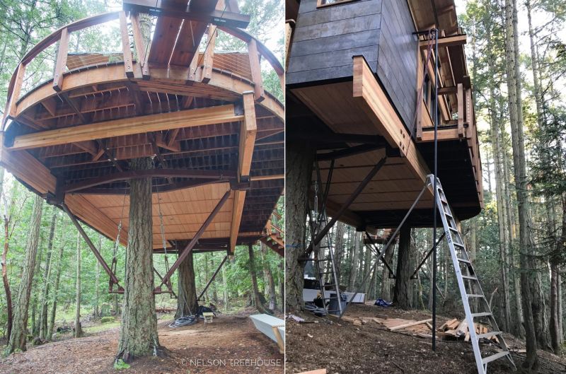 treehouse in San Juan Islands 