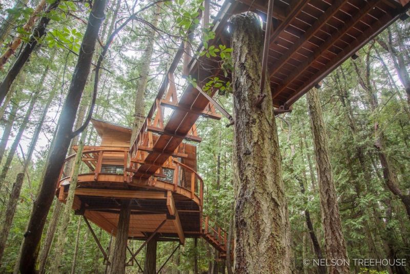 treehouse in San Juan Islands 