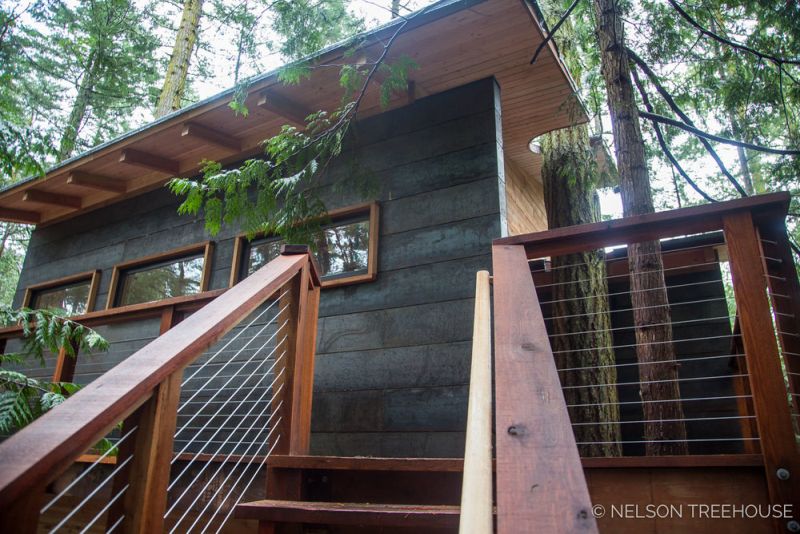 treehouse in San Juan Islands 