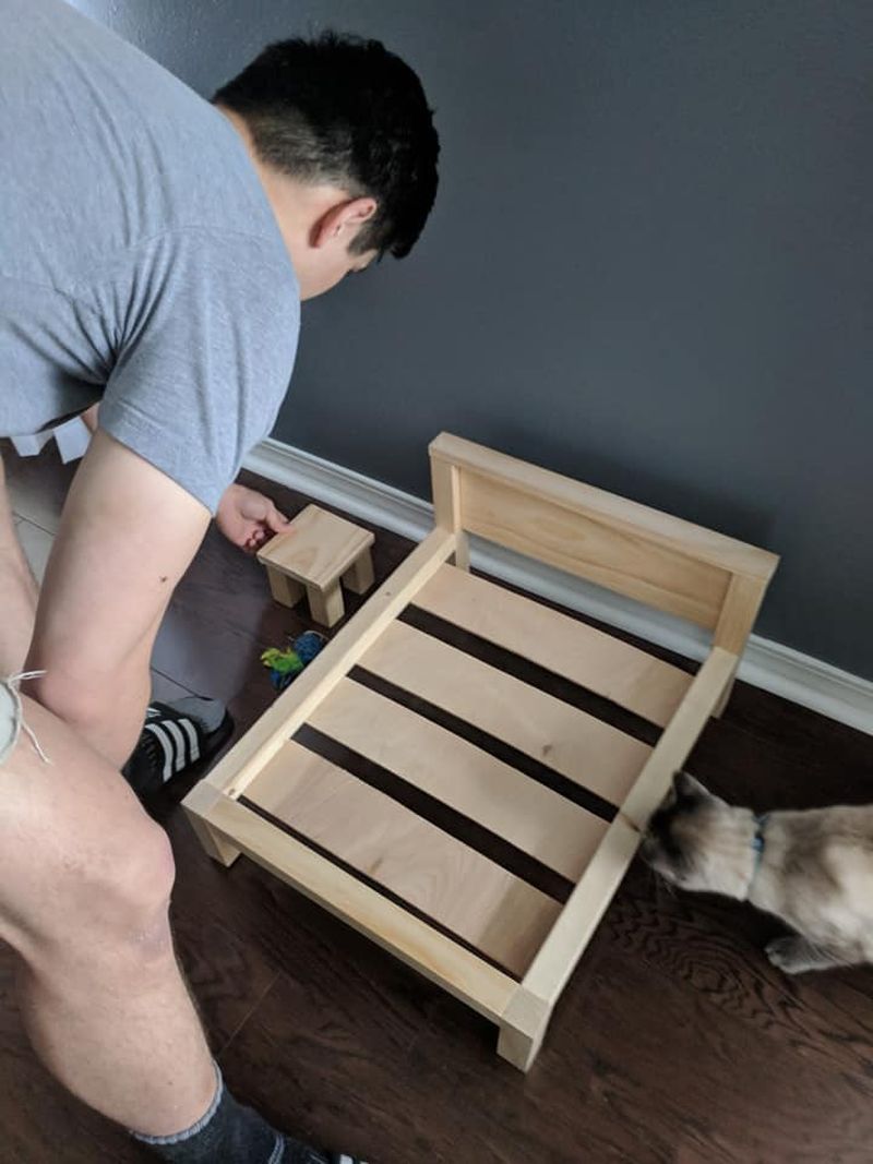 Florida Man Builds Custom Cat Bed and Side Table