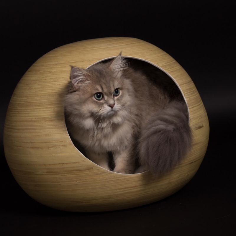 Bamboo cat bed