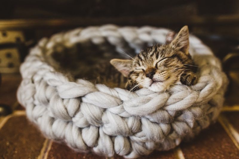 Crocheted wool cat bed