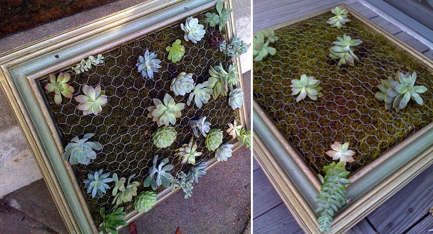 DIY succulent vertical garden