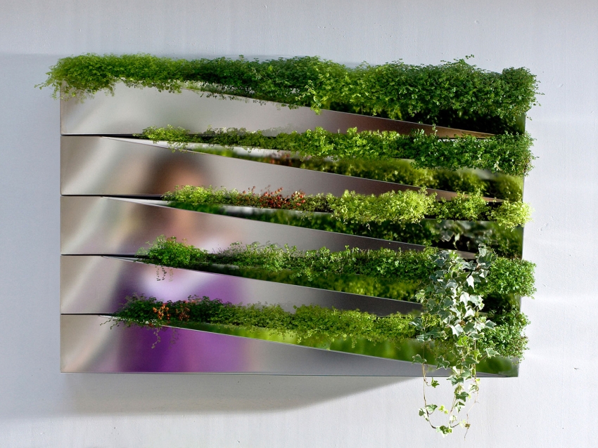 Herbe Mirror vertical indoor planter by Jean Jacques Hubert