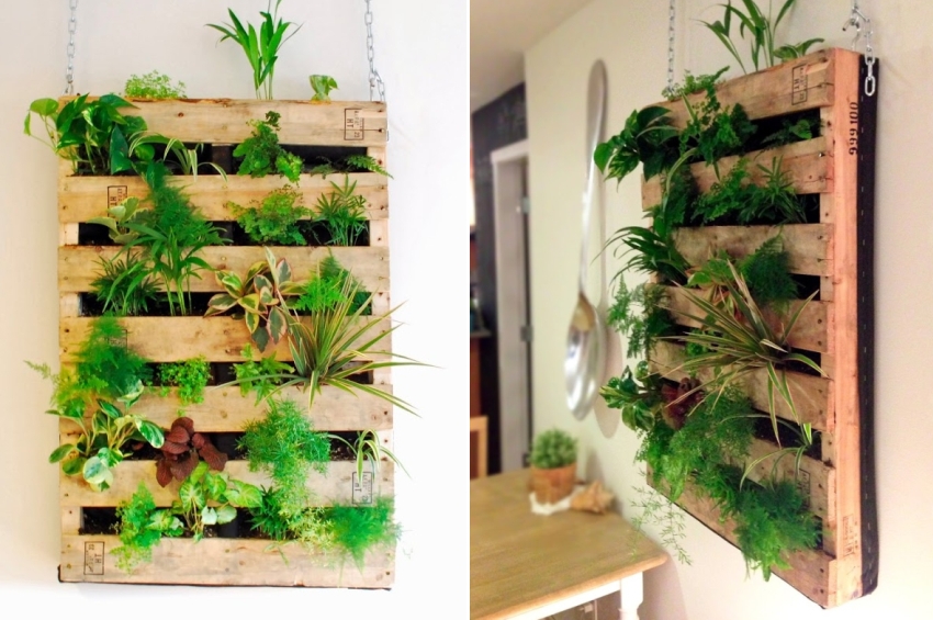 Pallet Living Wall - Indoor Vertical Garden