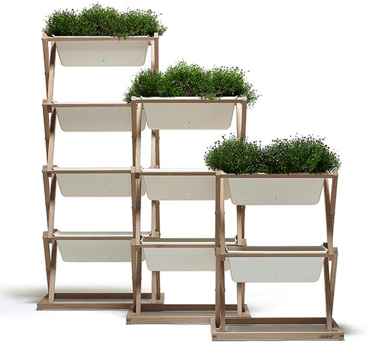 Indoor Vertical Garden