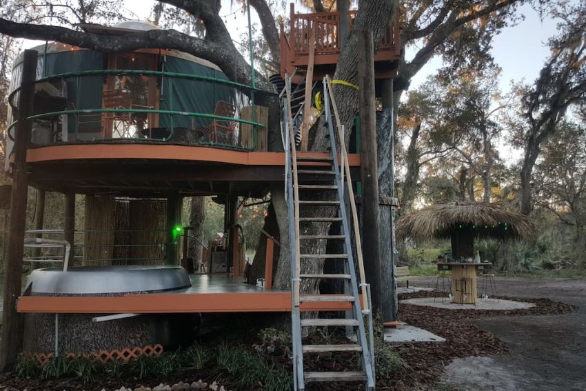 Danville Treehouse