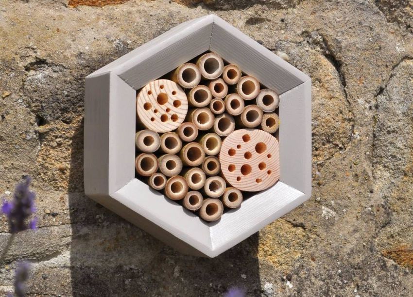 Honeycomb Bee Hotel by Wuddl