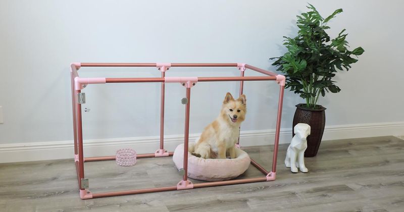 Lucidium Dog Pens by Clearly Loved Pets