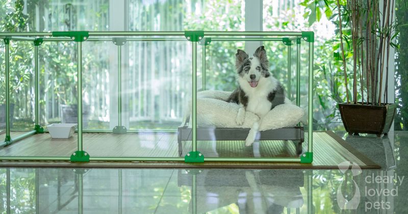 Lucidium Dog Pens by Clearly Loved Pets