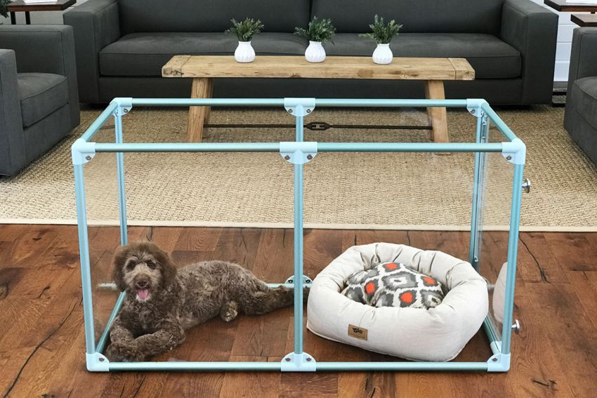 Lucidium Dog Pens by Clearly Loved Pets Feature Acrylic Walls
