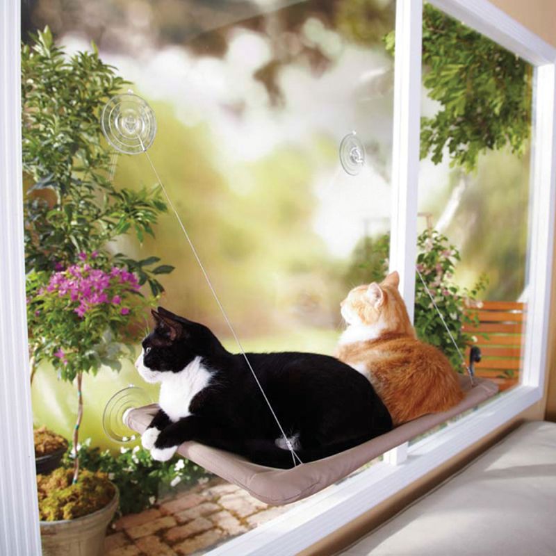 Oster Window-Mounted Cat Bed