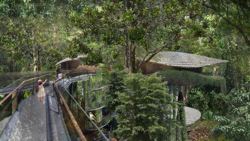 Seed Pod-Shaped Treehouses at New Mandai Resort